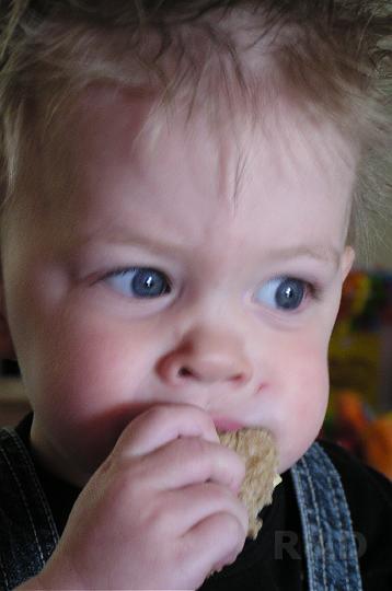 Imme 18 mei 2008 Blijdorp (50).JPG